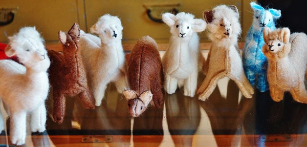 felt-with-alpaca-nelson